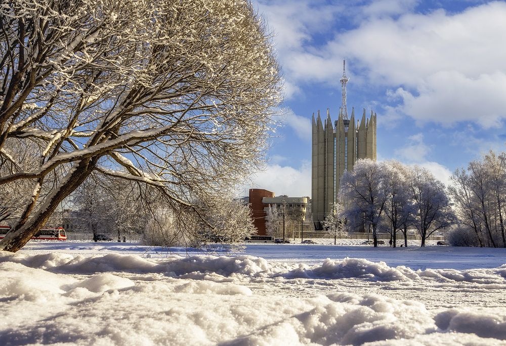 Photograph by Ольга Якшина