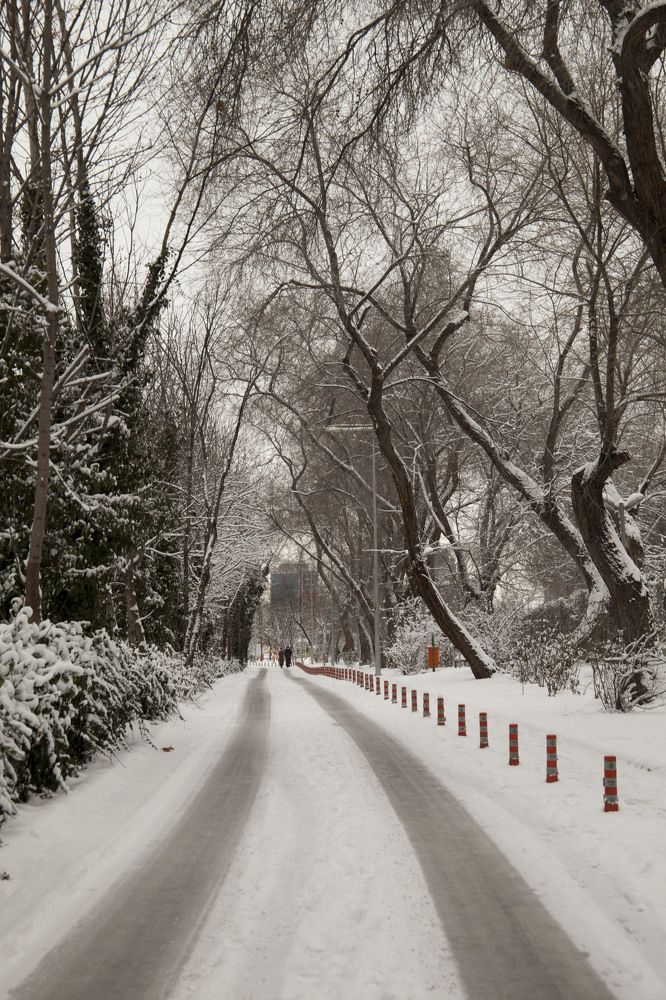 Photograph by cengiz pamuk