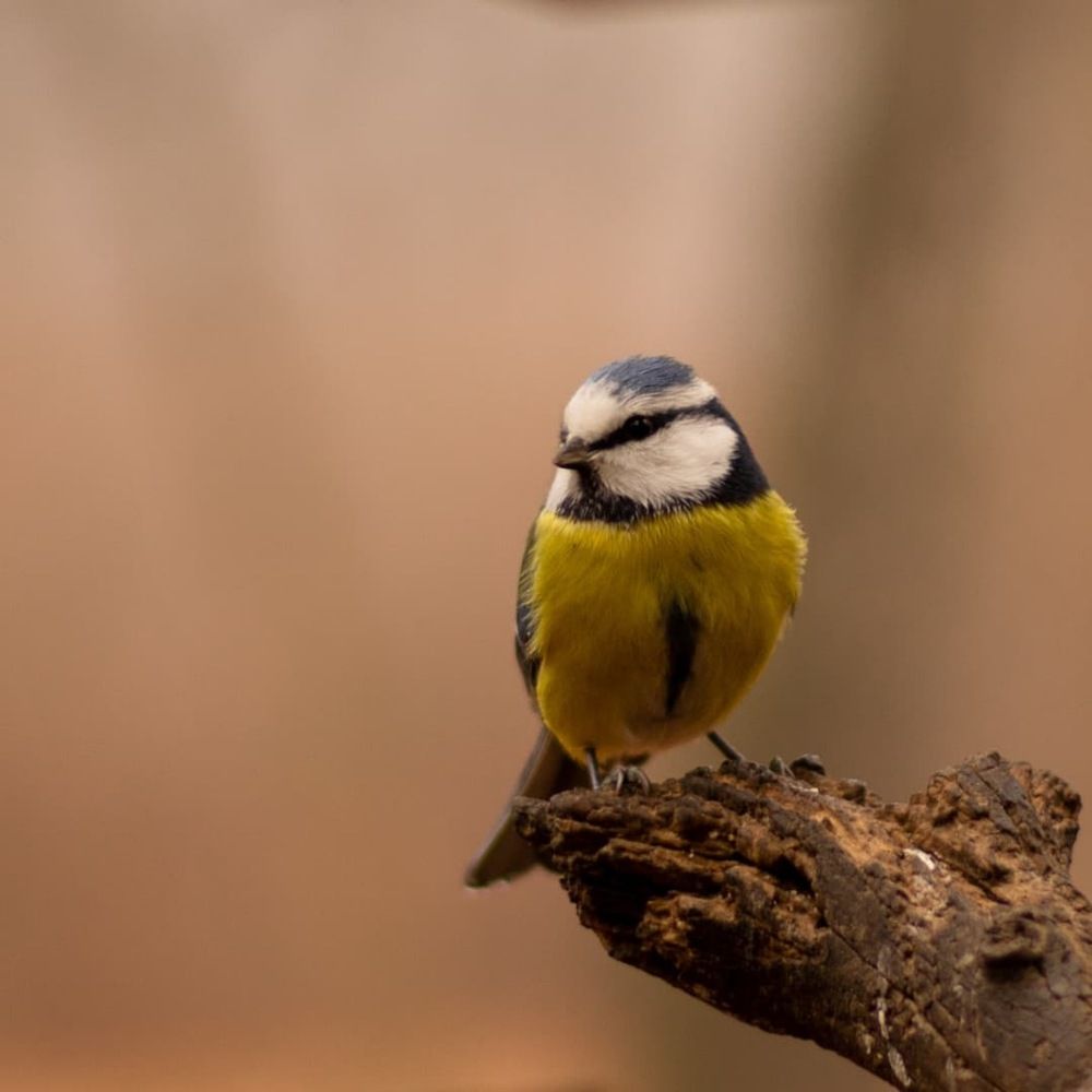 Photograph by Тихон Петров