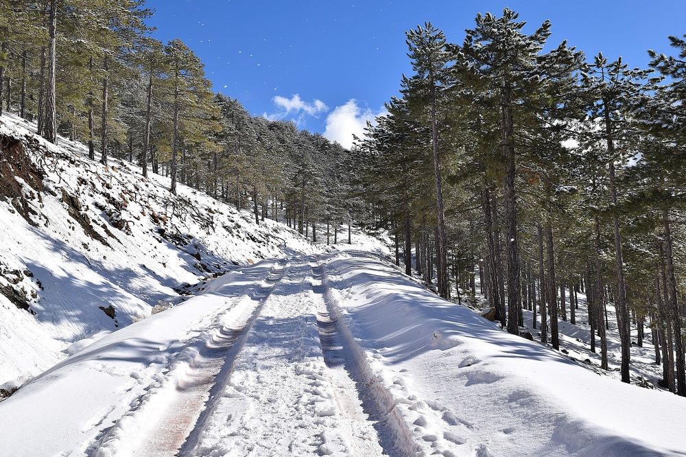 Photograph by Ирина Онер