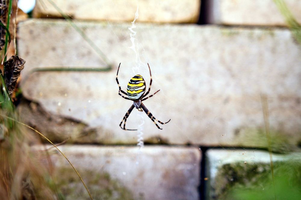 Photograph by Виктор Коршунов