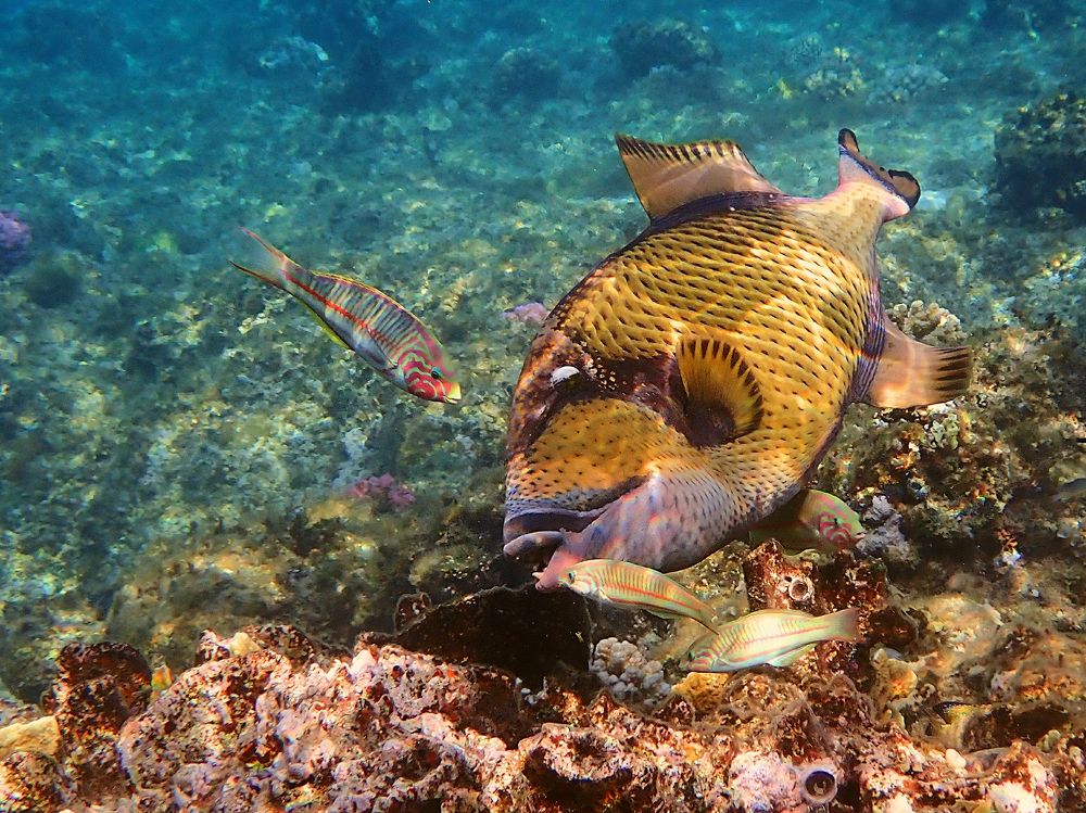 Photograph by Александр Баран