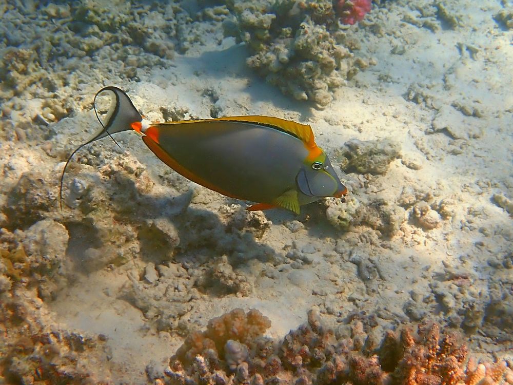 Photograph by Александр Баран