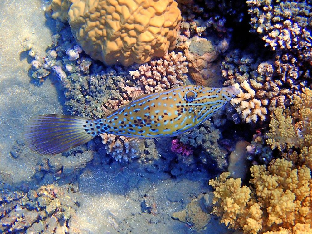 Photograph by Александр Баран