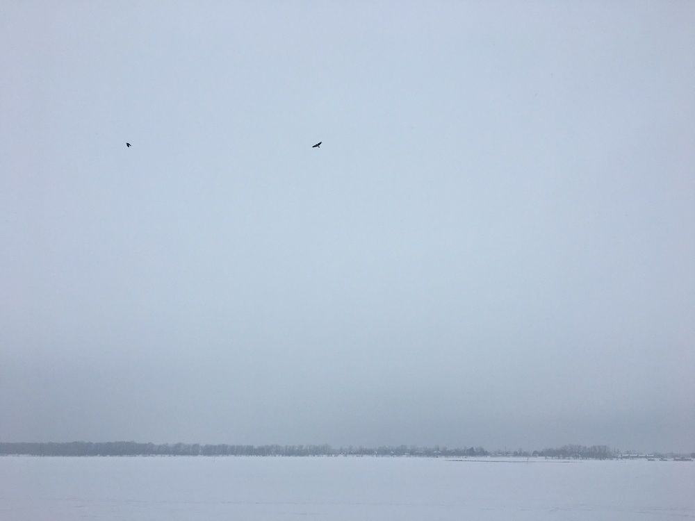 Фотография автора Балановская Виктория