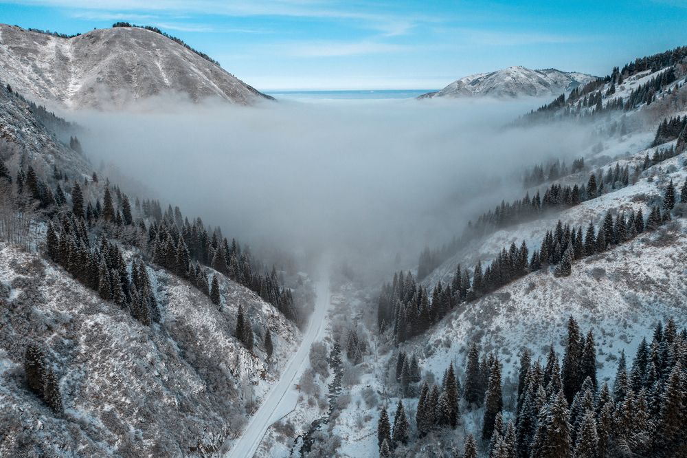 Photograph by Сергей Варыгин