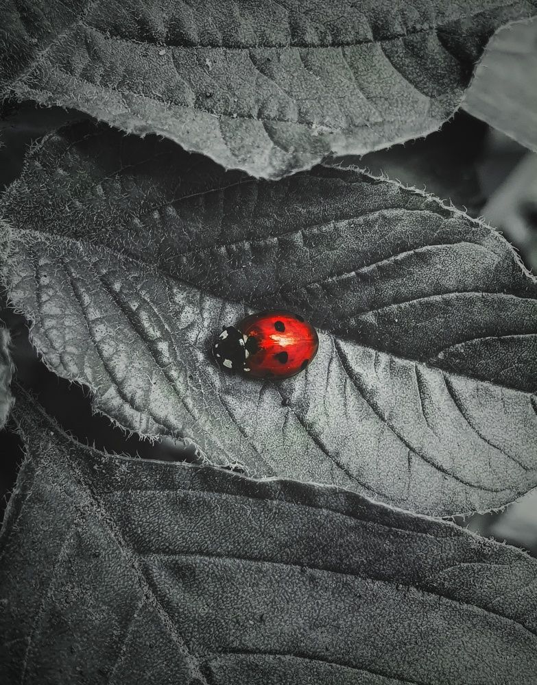 The world is in detail