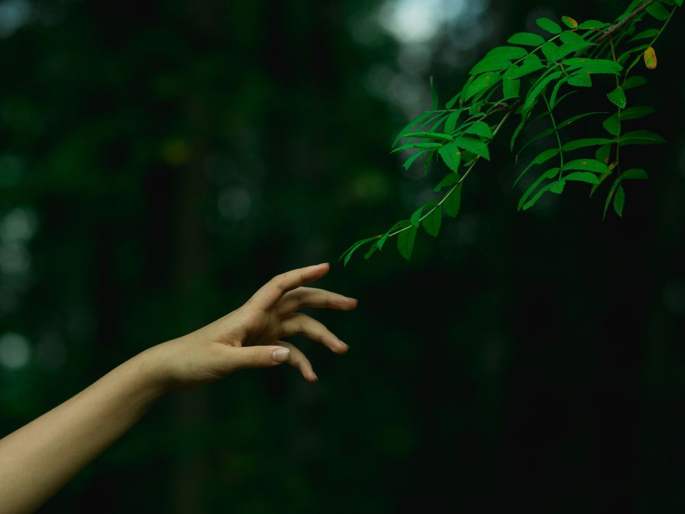 Photograph by Lera Z