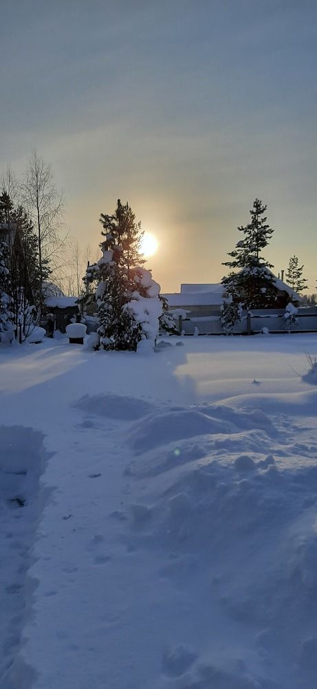 Photo #7127652