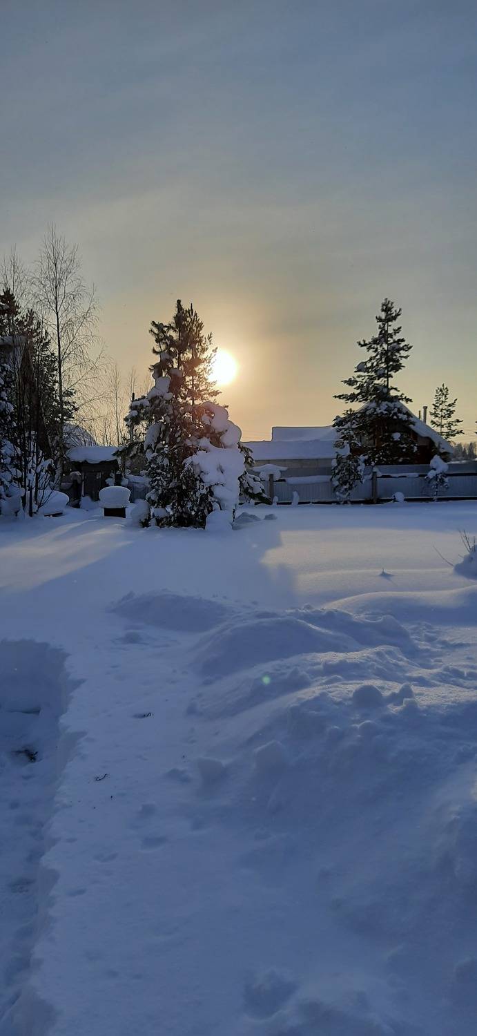 Photo #7127652