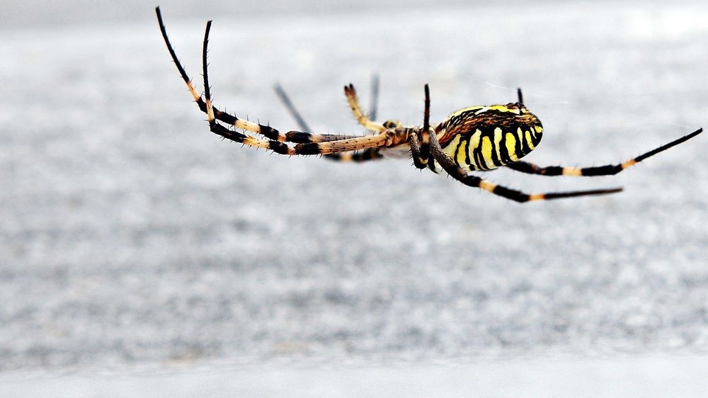 Photograph by Виктор Коршунов