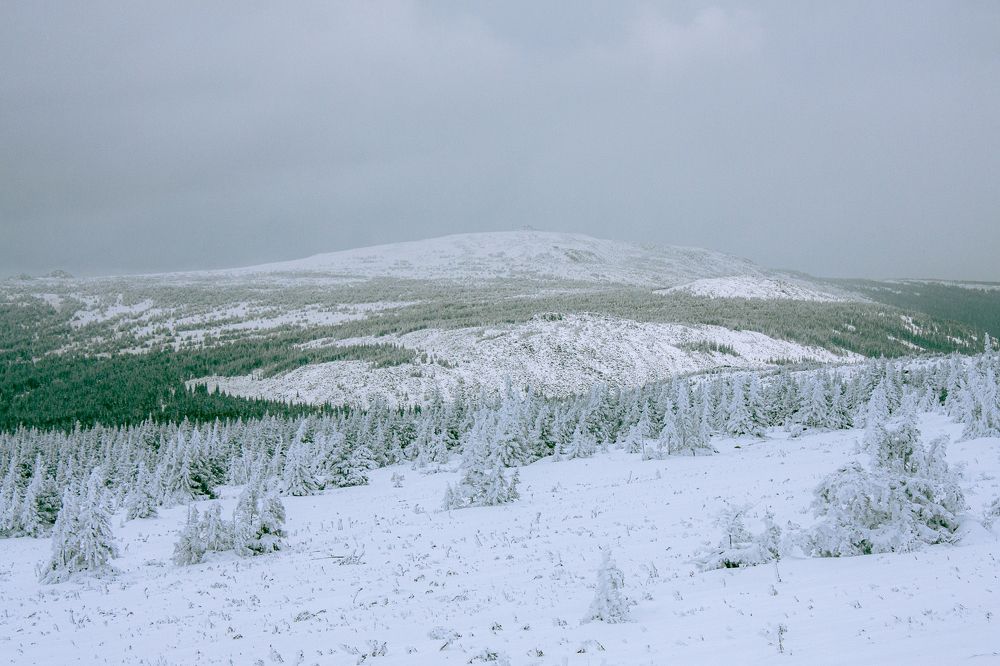 Photograph by Евгений Москвин