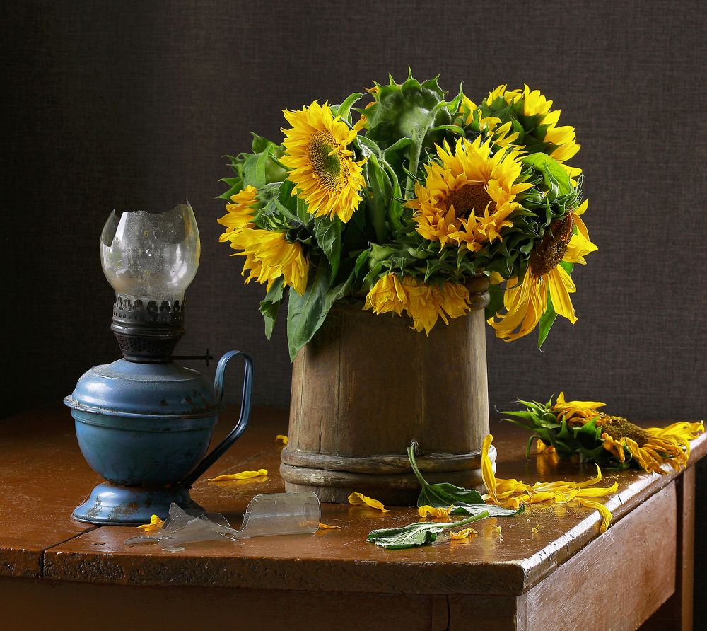 Какая жалость!