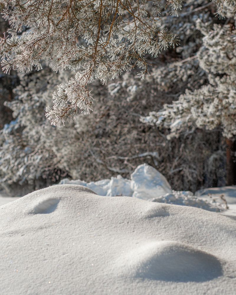 Photograph by Евгений Москвин