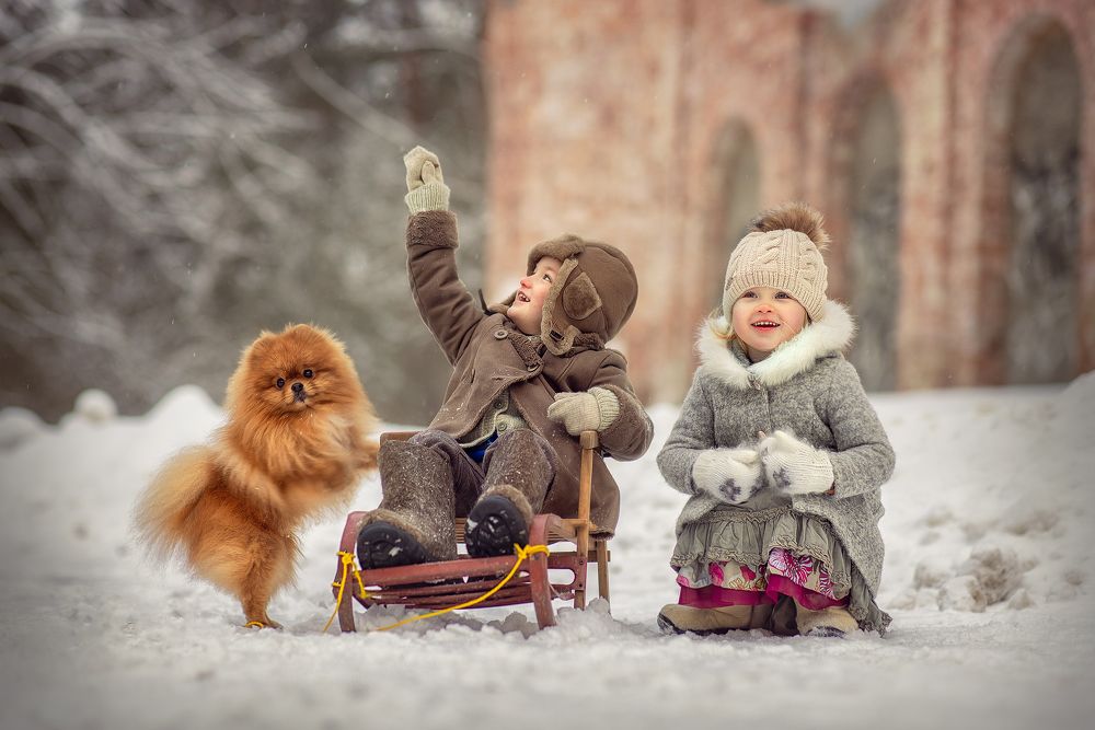 Фотография автора Aleksandr Kurnosov