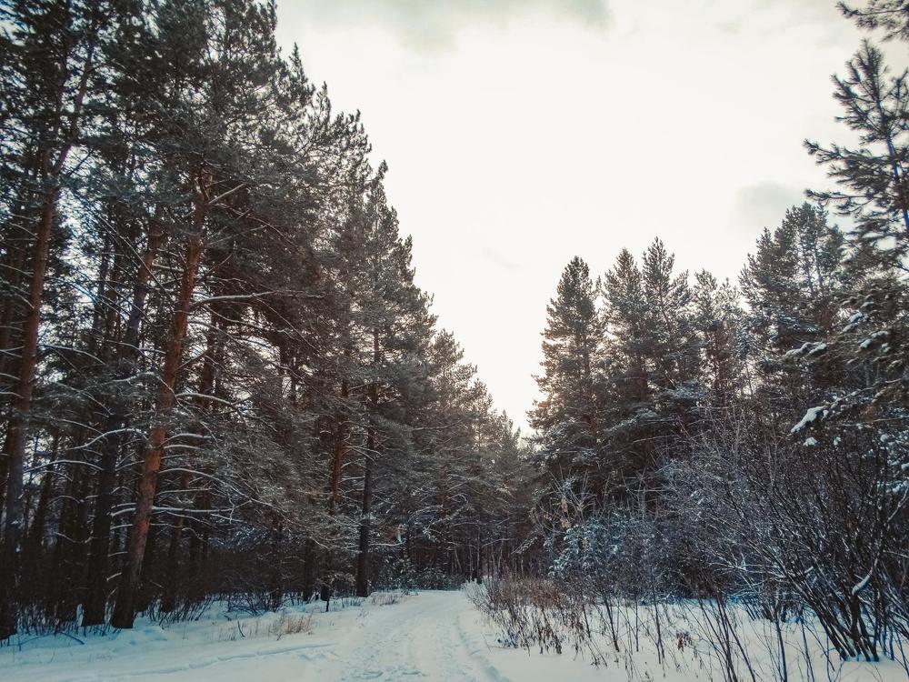 Photograph by Анжелика Трошина