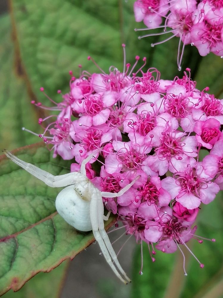 Photograph by Марцева Татьяна