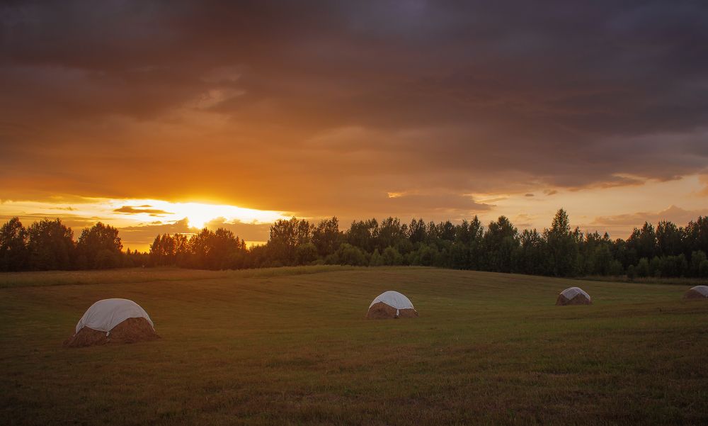 Photograph by Елена Хвойнова