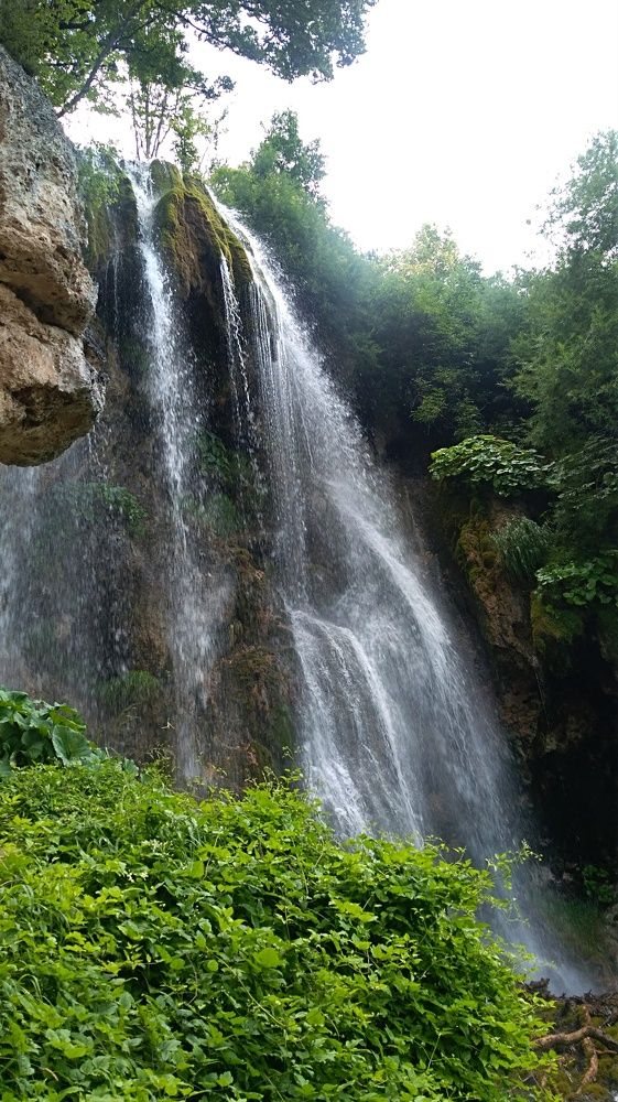 Photograph by Lidija Jevremovic