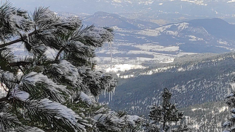 Photograph by Lidija Jevremovic