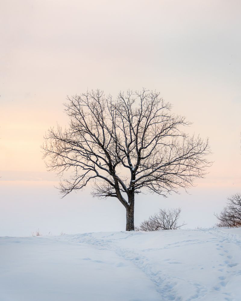 Photograph by Valentina Suvorova