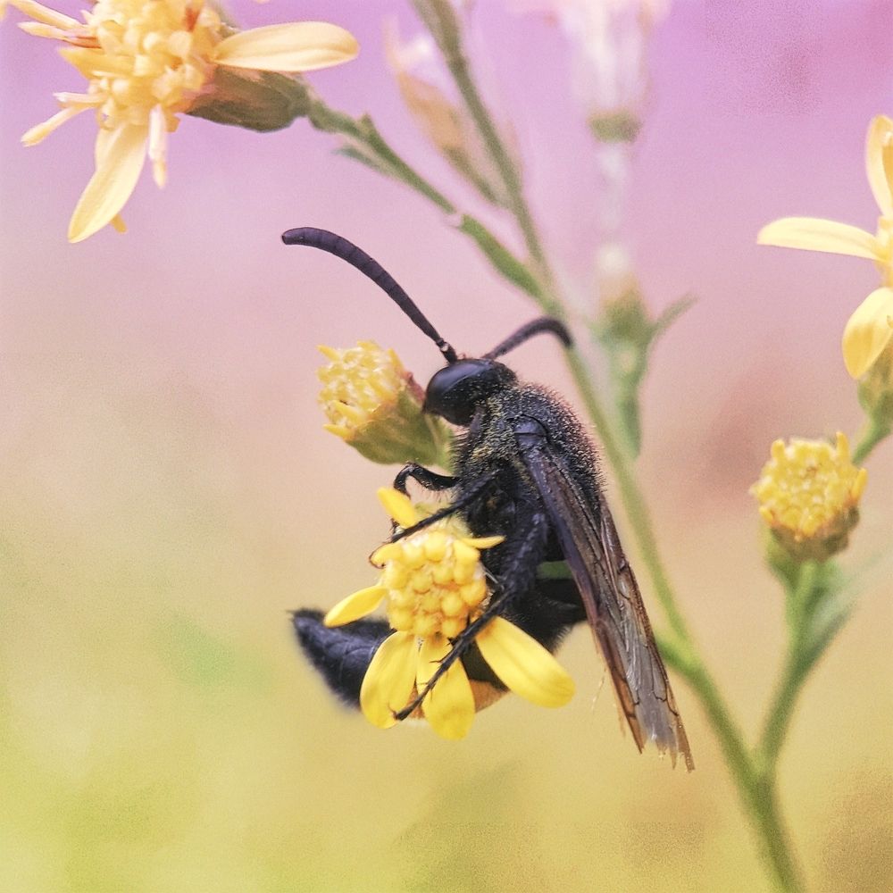 Photograph by Юлия Быкова