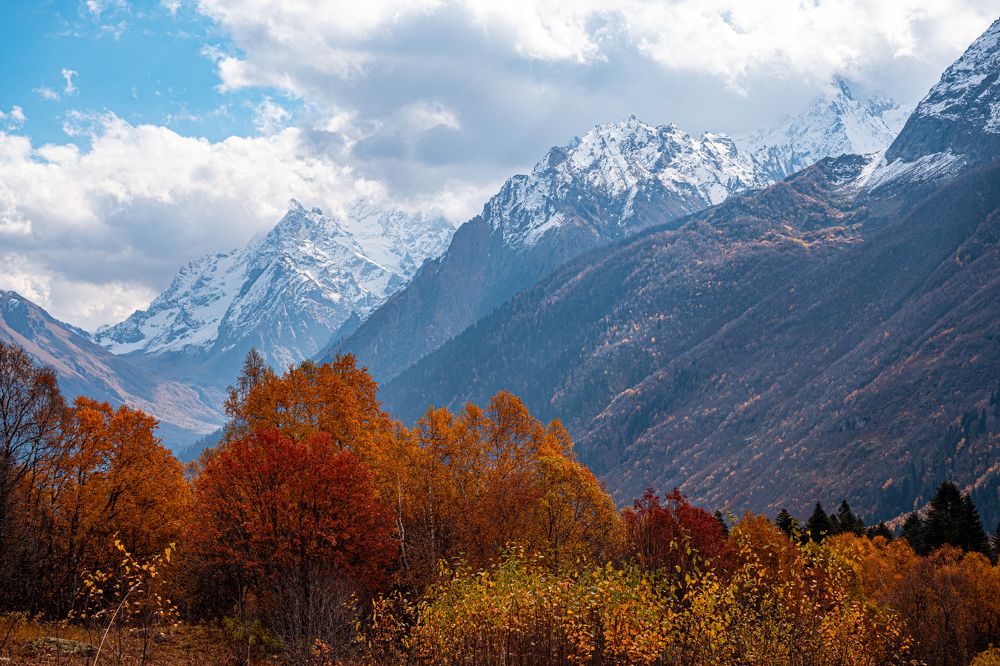 Photograph by Ольга Охорзина