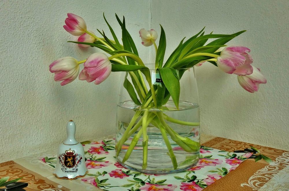 Photograph by backareva irina