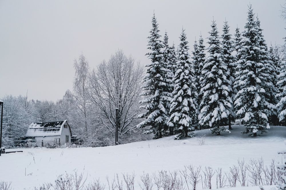 Photograph by Любовь