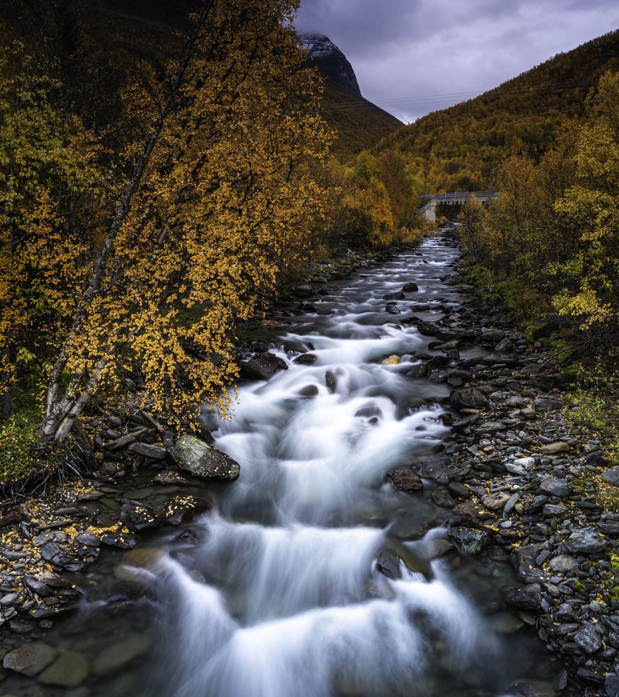 Фотография автора Katrin Lillenthal