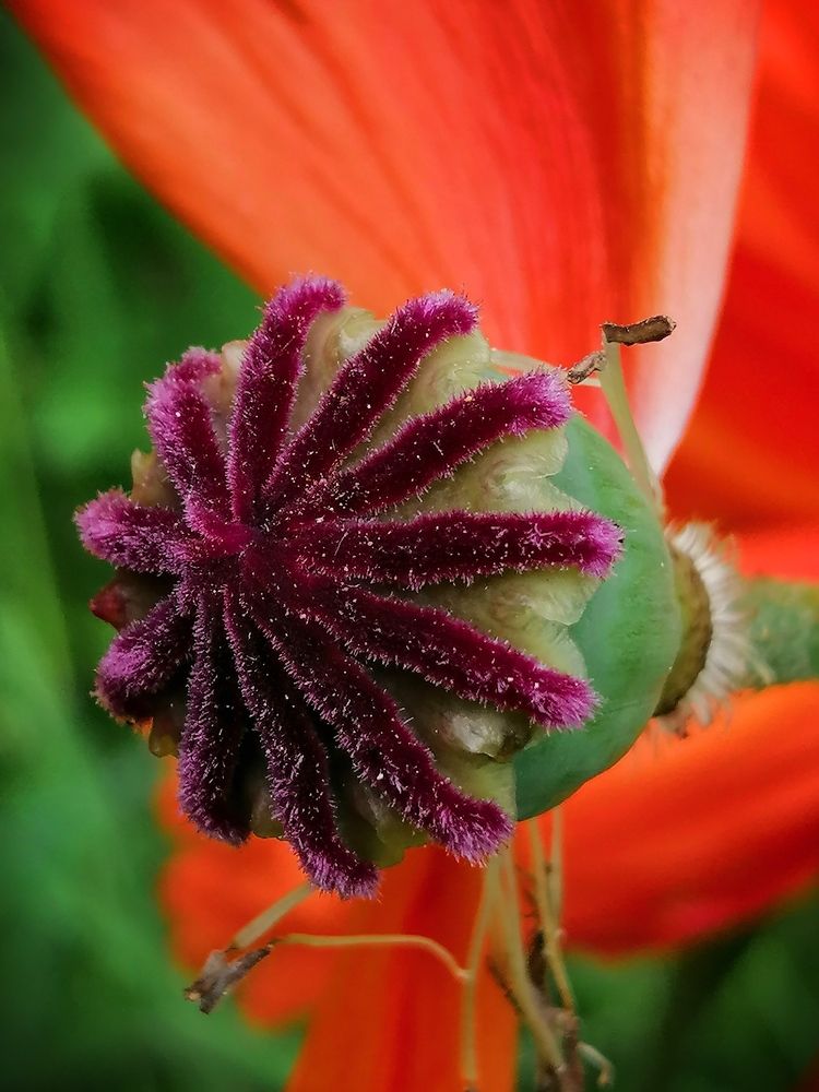 Photograph by Марцева Татьяна