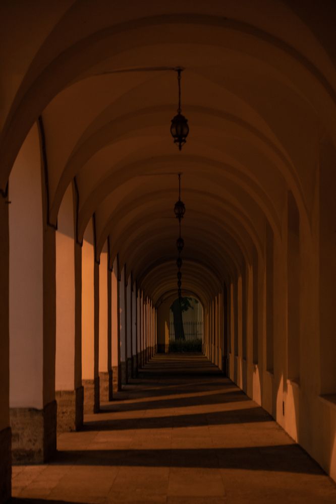 Photograph by Ольга Охорзина