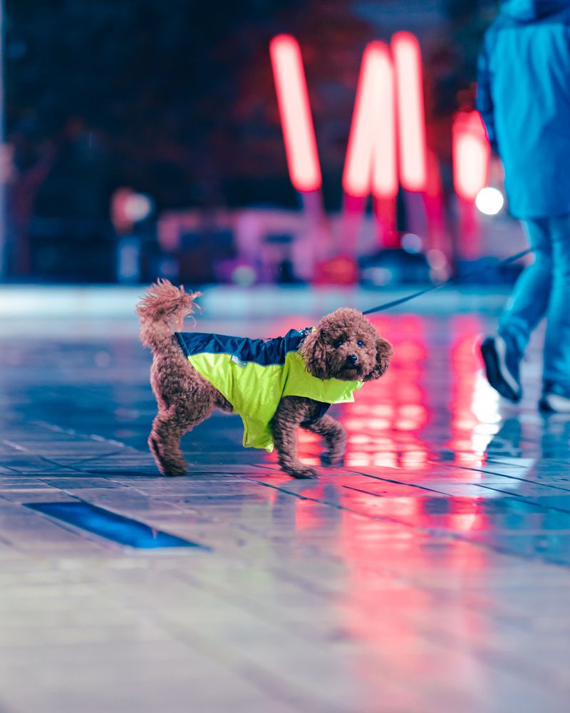 Photograph by Artur Seithalilov