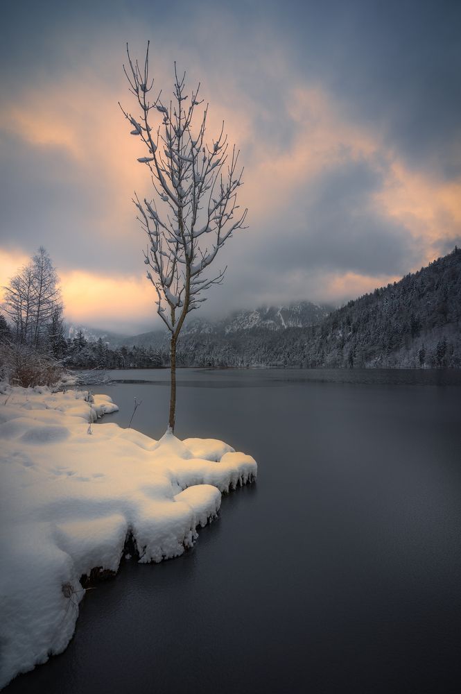 The model of the day...