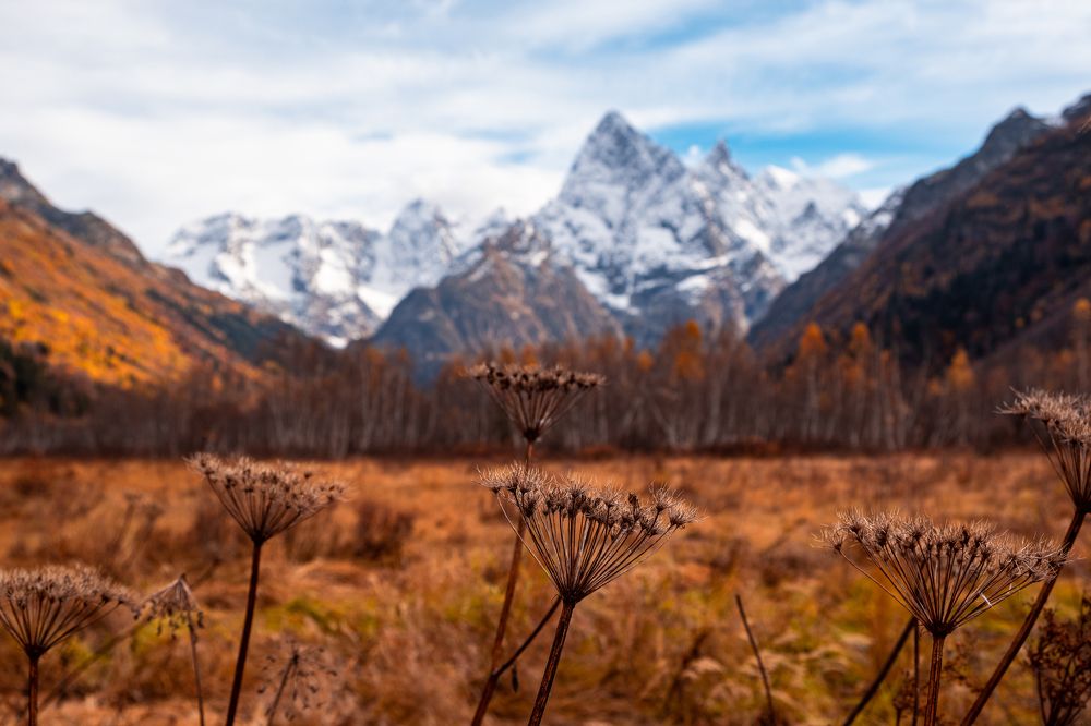 Photograph by Ольга Охорзина