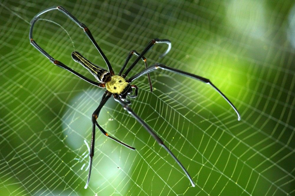 Photograph by Meghali Sarma