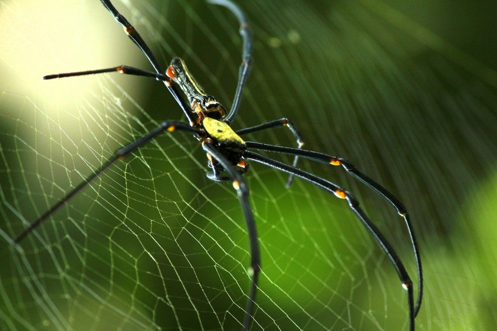 Photograph by Meghali Sarma