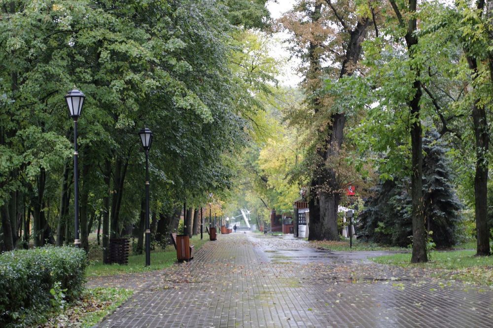 In the park after the rain.