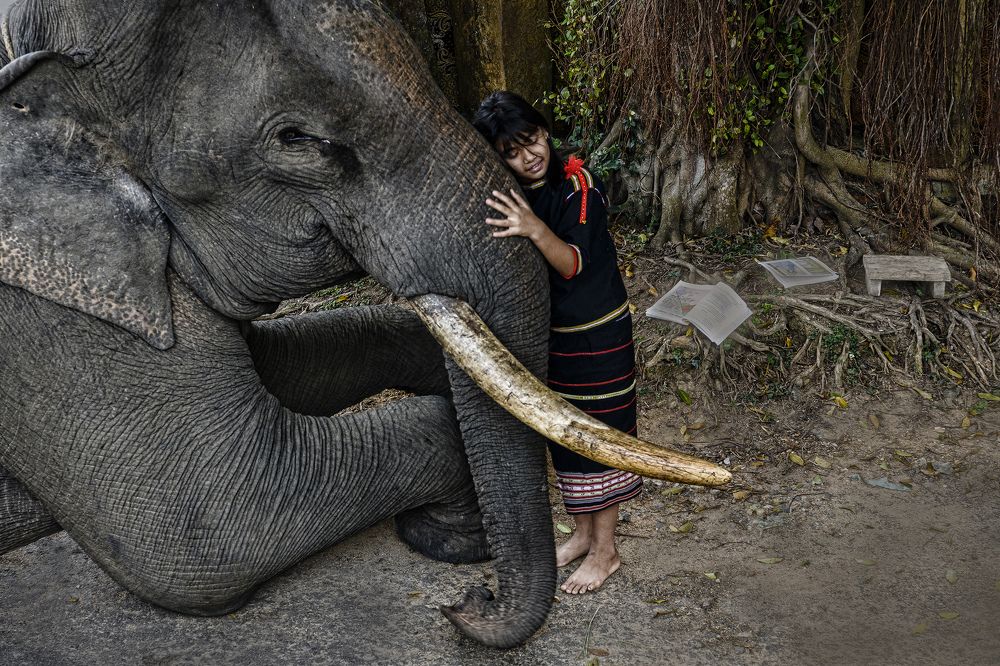 Photograph by Ngọc Vân (Helena Vân) Nguyễn