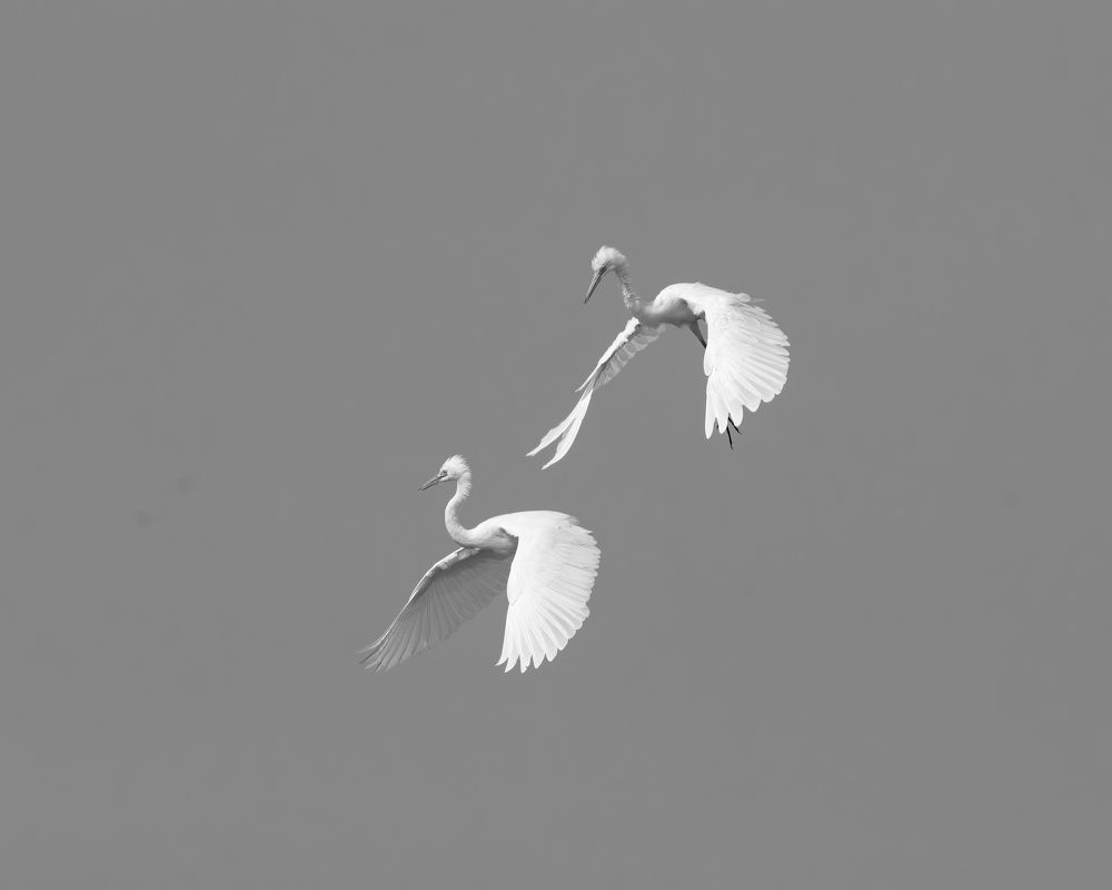 Фотография автора M Anandhu