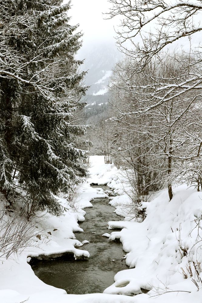 Photograph by Tatiana Serova