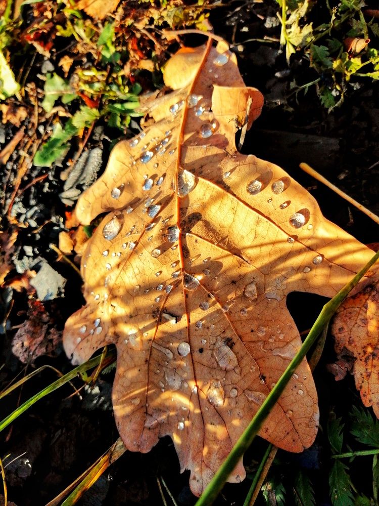 Photograph by Марцева Татьяна
