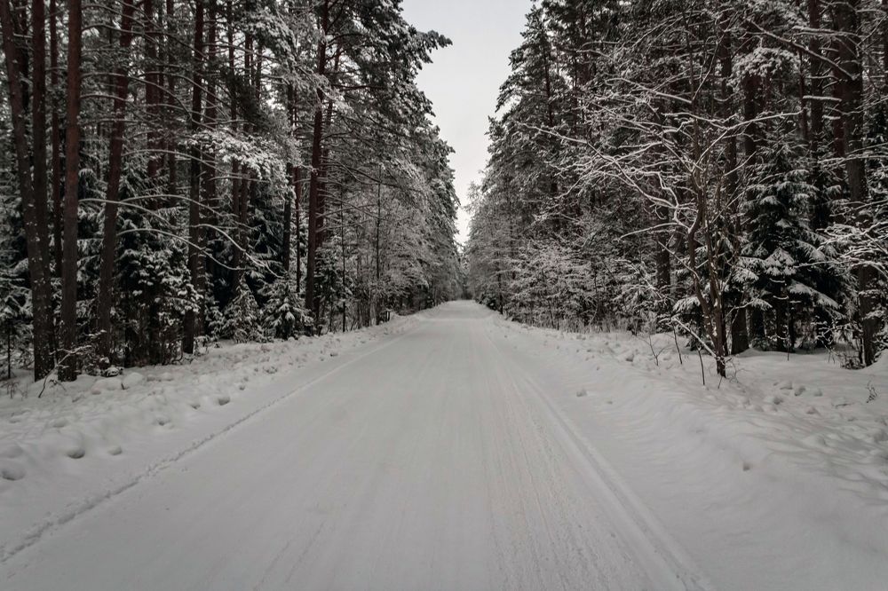 Photograph by Игорь Сидун