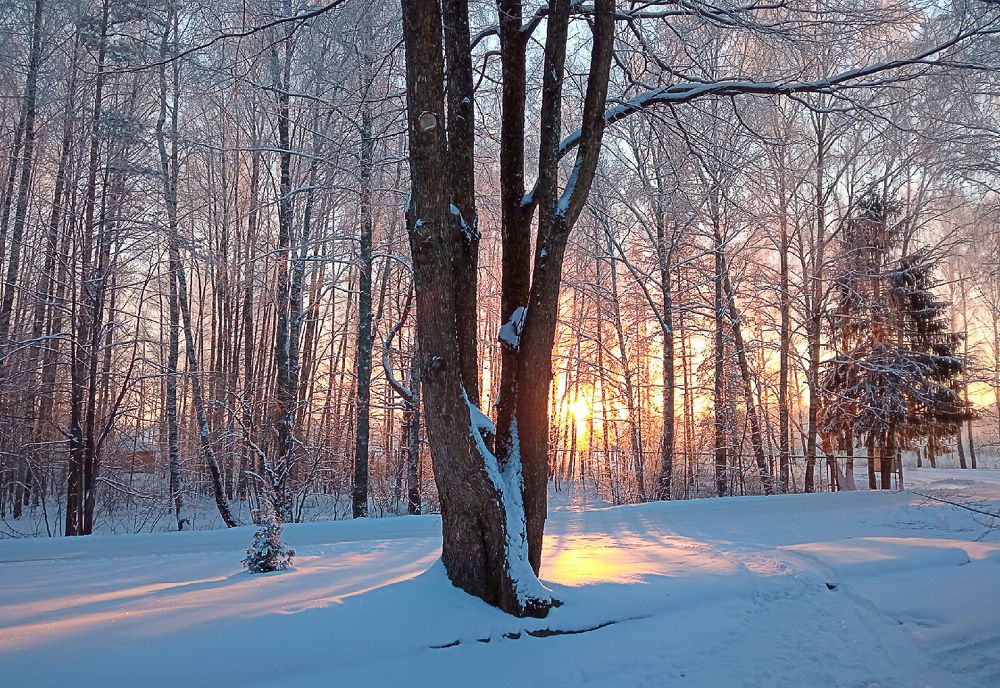 Photograph by Елена Хвойнова