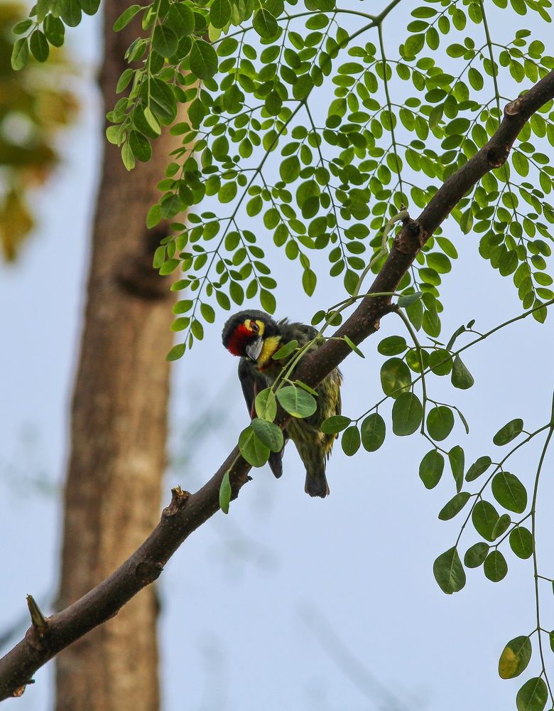 Photograph by Meghali Sarma