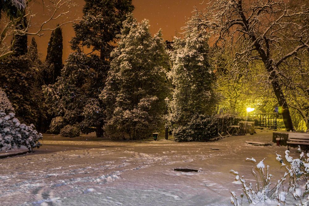 Photograph by Игорь Сидун