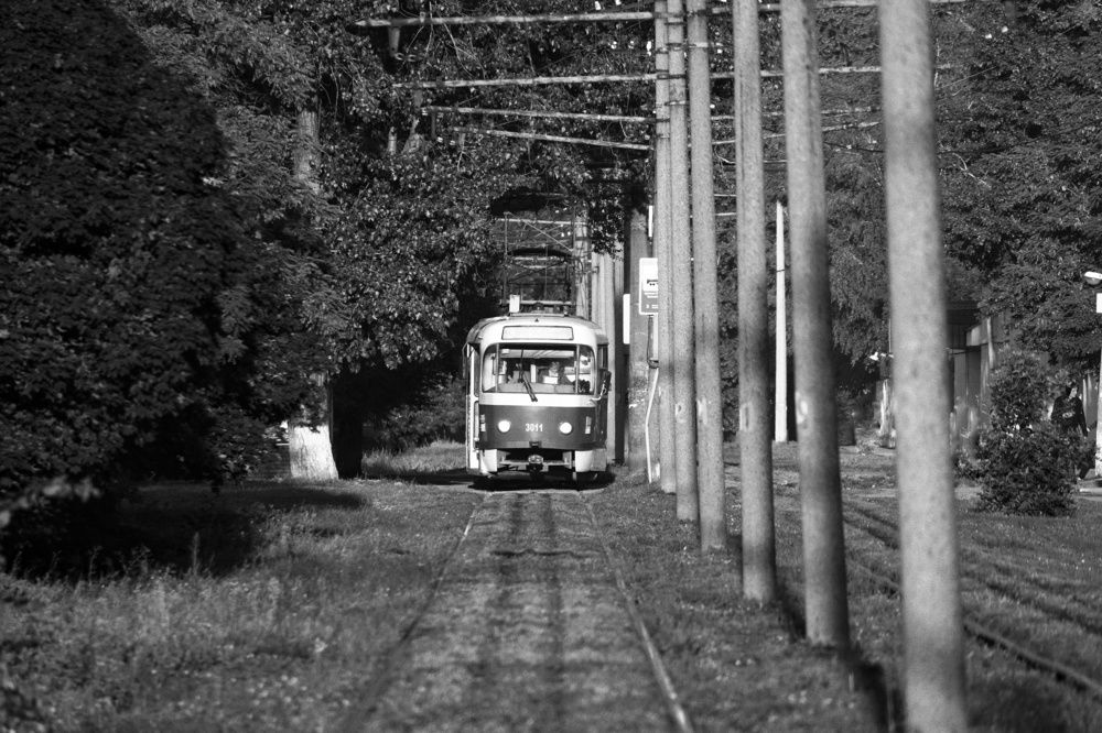 Photograph by Игорь Маслов