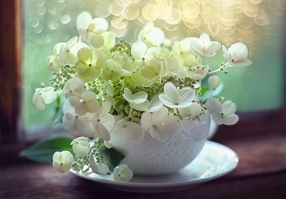 Photograph by Dana S.