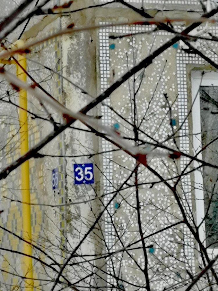 Photograph by Дарья Ермакова