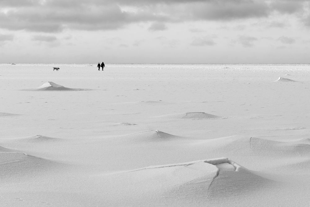 Photograph by Крицак Ольга